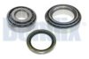 BENDIX 050760B Wheel Bearing Kit